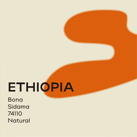 Ethiopia | Bona Sidama Gute Natural