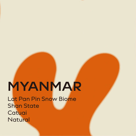 Myanmar | Shan State Ywangan Lat Pan Pin Snow Biome Natural