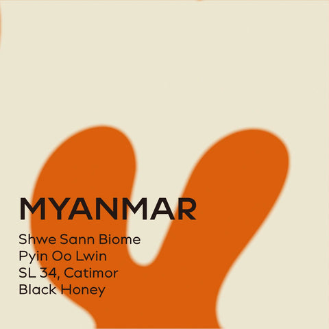 Myanmar | Pyin Oo Lwin Mandalay Shwe Sann Biome Black Honey