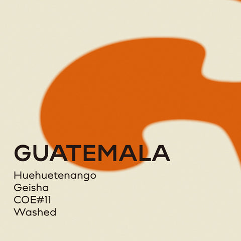 Guatemala|Huiweitenango Extreme View Manor Geisha Wash COE#11