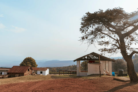 Acacia Hills Coffee Estate