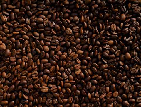 Selected from Ethiopia's Native Coffee Gene Pool — The JARC 74 Series