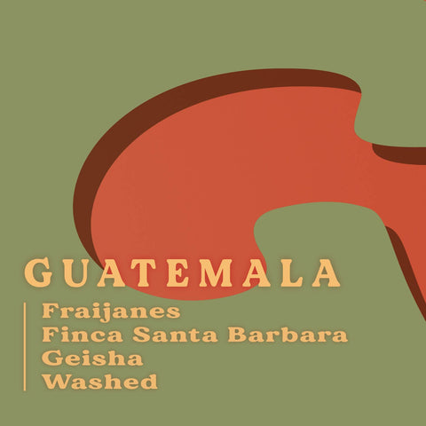 (SOLD OUT) 瓜地馬拉｜聖巴巴拉莊園 藝妓 水洗