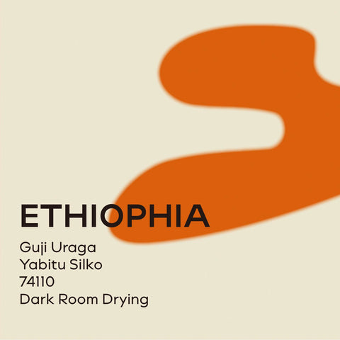 衣索比亞 雅比兔 絲綢處理廠 暗室乾燥處理