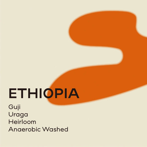 衣索比亞 烏拉嘎鎮 厭氧水洗