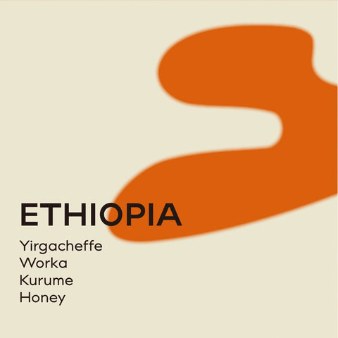 衣索比亞 沃卡 蜜處理