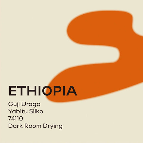 衣索比亞 雅比兔 絲綢處理廠 暗室乾燥處理