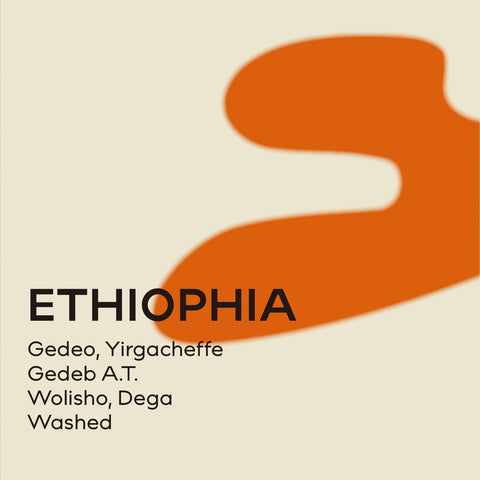 衣索比亞 耶加雪菲 潔蒂普A.T.處理廠 水洗