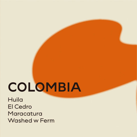 哥倫比亞 薇拉 雪松莊園 發酵水洗