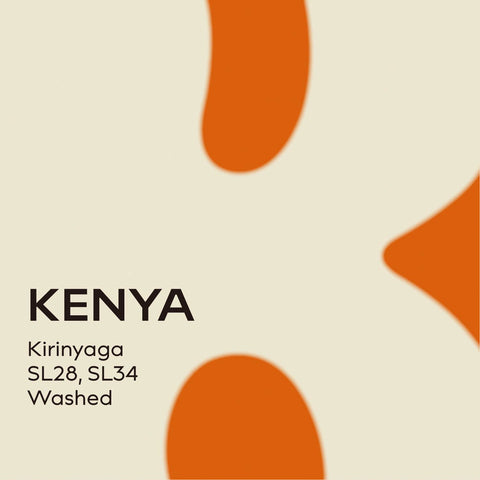 肯亞 傑姆單一莊園 AA 水洗