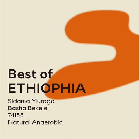 衣索比亞 西達摩 班莎區 2025BOE 第9名 巴夏貝克雷 厭氧日曬