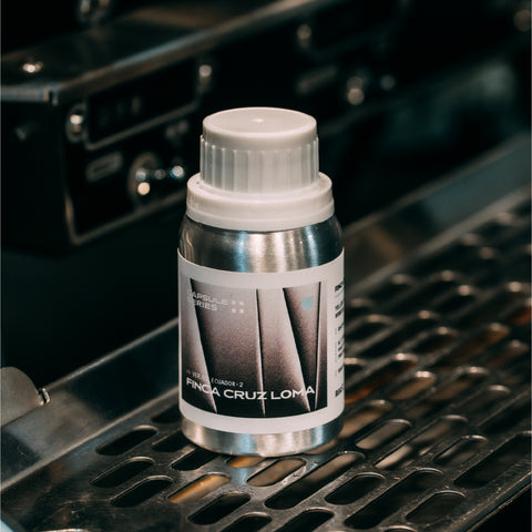 [ CAPSULE SERIES ] 厄瓜多 克魯茲洛馬莊園 藝伎 日曬