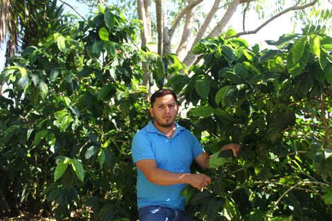 Evin Herrera Rivera