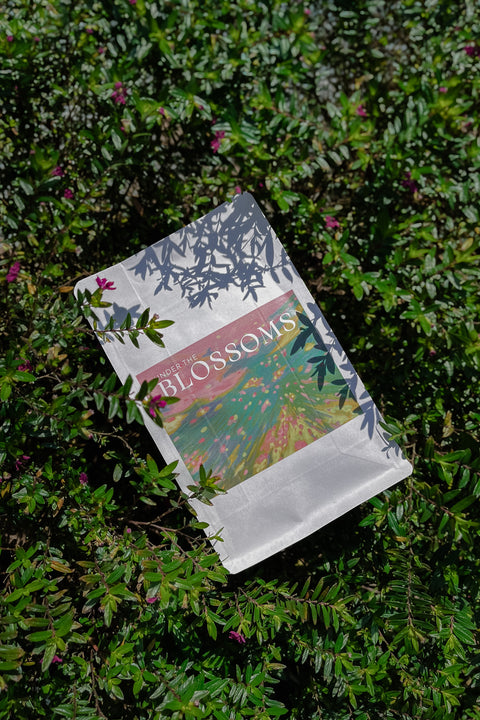 Under the Blossoms 花下