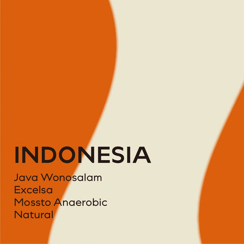 印尼 Sumber Wandhe莊園 Excelsa Mossto厭氧日曬