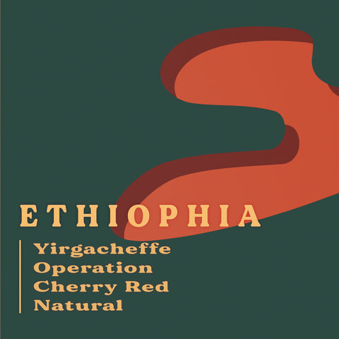 衣索比亞紅櫻桃計畫咖啡豆