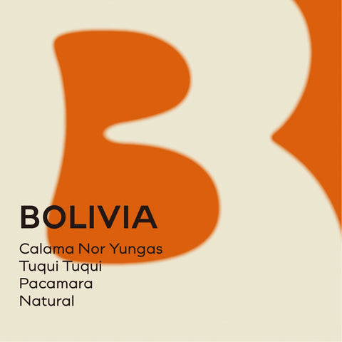 玻利維亞 圖奎圖奎莊園 日曬