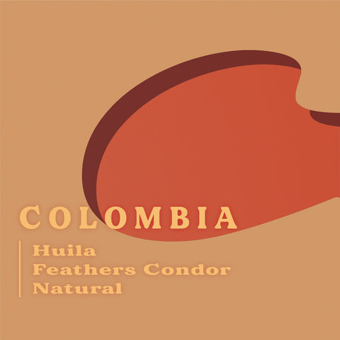 哥倫比亞 黑鷹 不沾水日曬